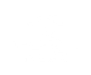 Logo 12